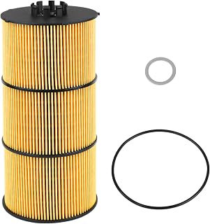 P551005 Oil/Lube Filter Fit for Freightliner Cascadia Mercedes Western Star Trucks & Buses Detroit Diesel DD13 DD15 DD16 Engines Replaces# A4721800109 LF17511 P7505 LP5090 57909