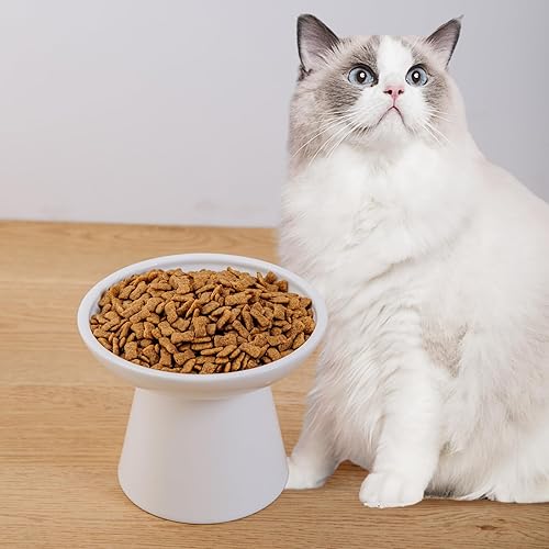 Vista 23 de Cuenco elevado extra ancho para comida para gatos, cuencos de cerámica para alimentos y agua, plato ancho y poco profundo para gatos, fatiga
