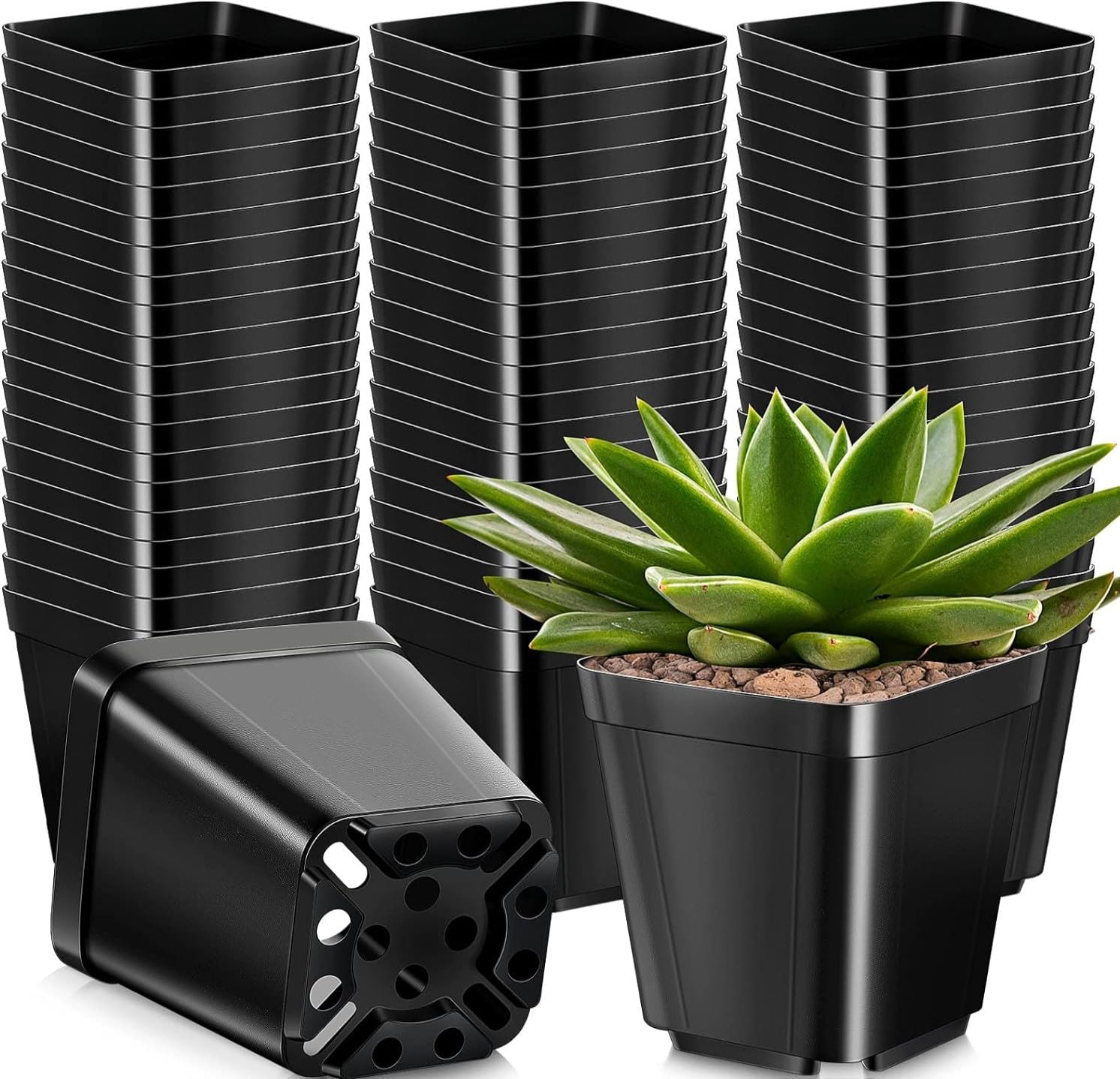 Kaheign Black 50Pcs Square Plant Pots, 10Cm Thick Plastic Flower Pots Succulent Planter Nursery Pots With Drainage Holes For Small Potted Plants (Black)