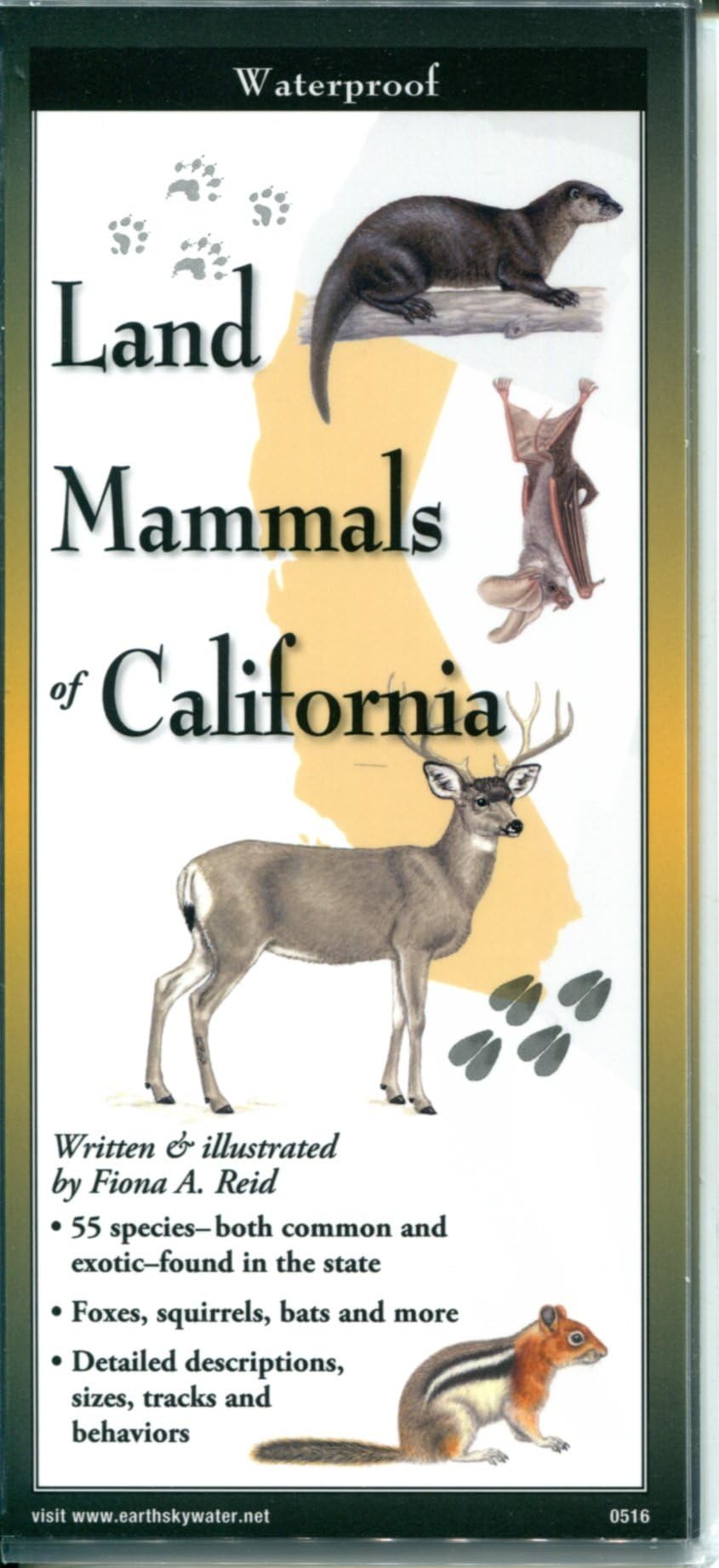 Land Mammals of California