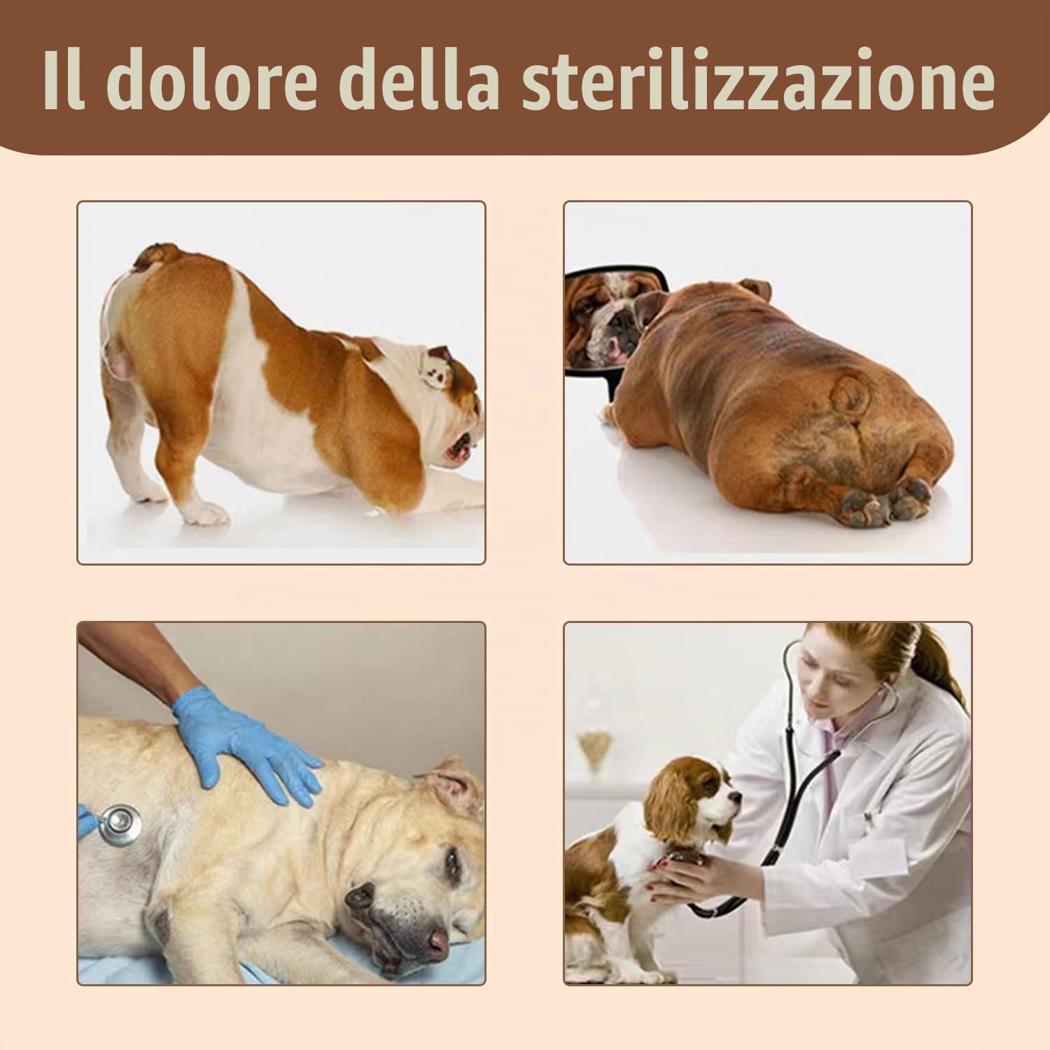 Giocattolo per l'estro del Sonno del Cane, Giocattolo per Cani di accoppiamento di Simulazione, Giocattoli striduli di Peluche interattivi per Cani, per Cane dell'estro Maschio,28cm
