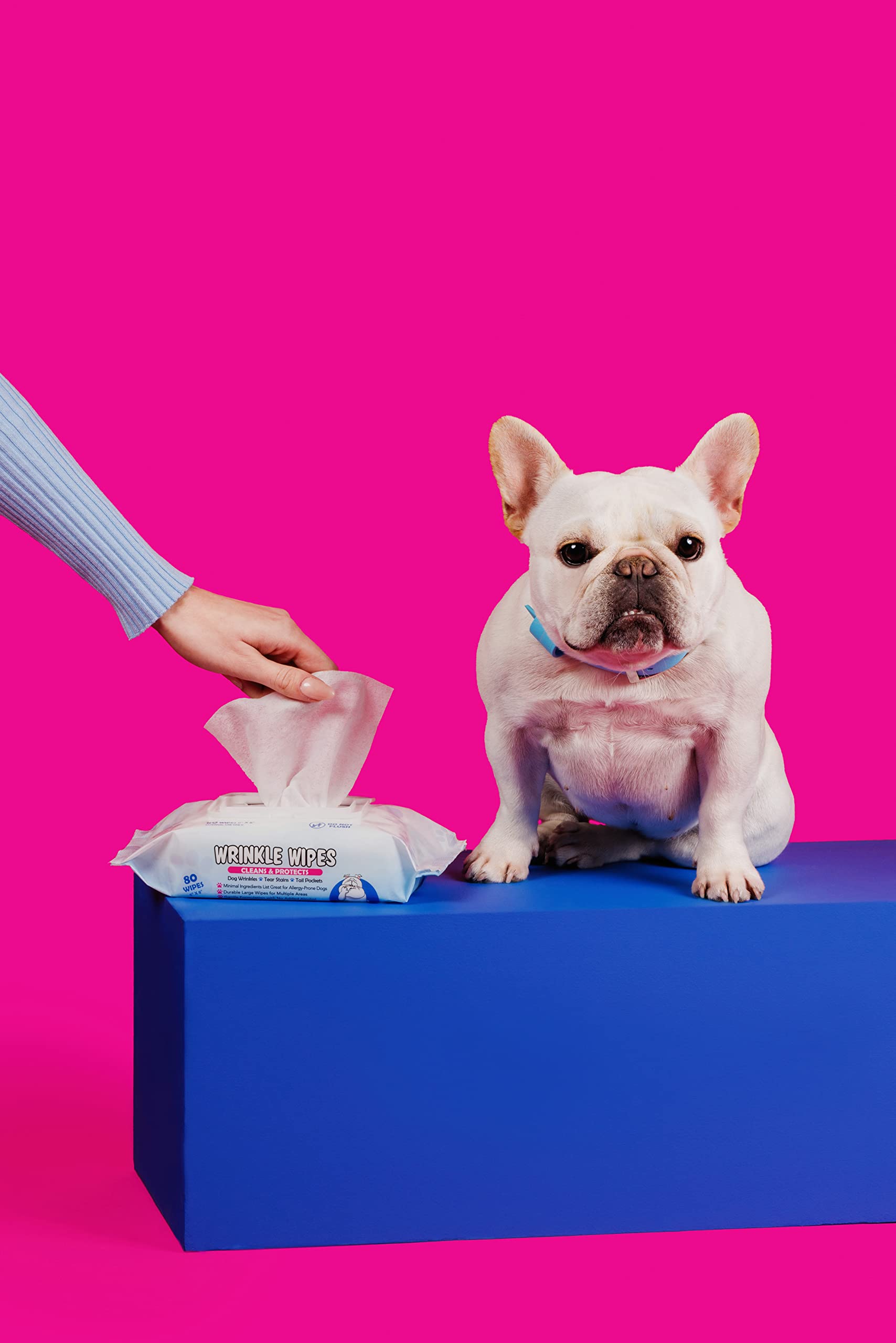 best wipes for bulldog wrinkles