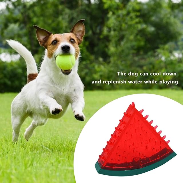 Foto 2 de 7 de Para Masticar para Perros, para Cachorros, Helado Congelado, Piña y Sandía