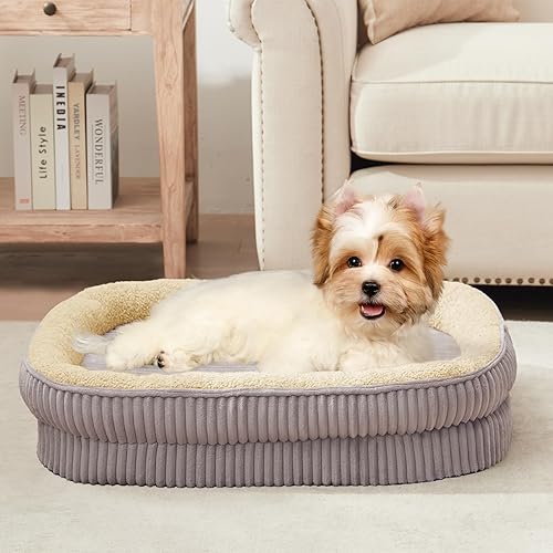 Cama ortopédica para perros de razas pequeñas, sofá cama de espuma de alta densidad para perros, cama ovalada para perreras, sofá cama para mascotas