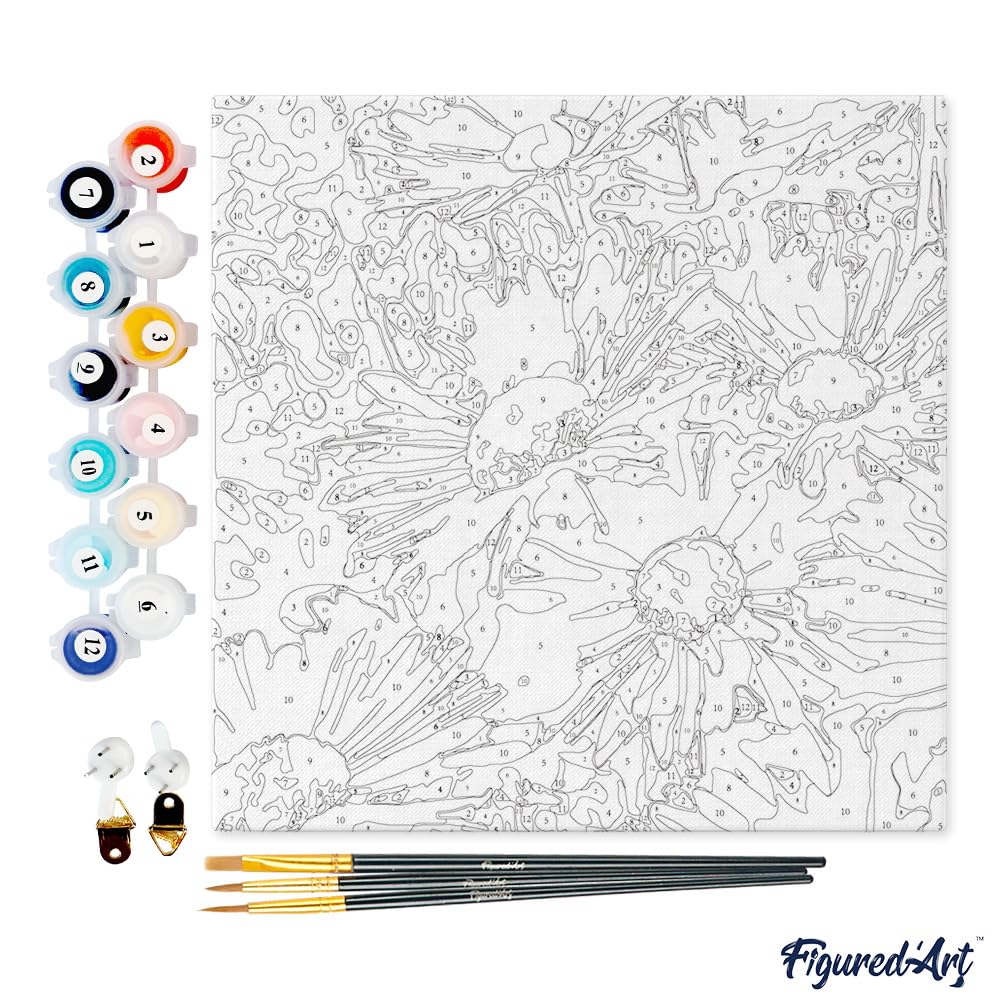 Figured'Art Mini Peinture par Numéro Adulte 20x20cm avec cadre Jolies Marguerites - Petit Format Kit de Loisir Créatif DIY Numéro d'Art Complet