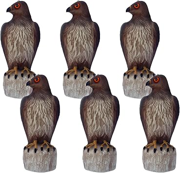 Bird B Gone Plastic Hawk Decoy 6 Pack - Hawk Decoy to Scare Birds Away, Bird Deterrent Devices Outdoor, 16 Inch Fake Hawk Statue, Bird Repellent Scarecrow for Garden
