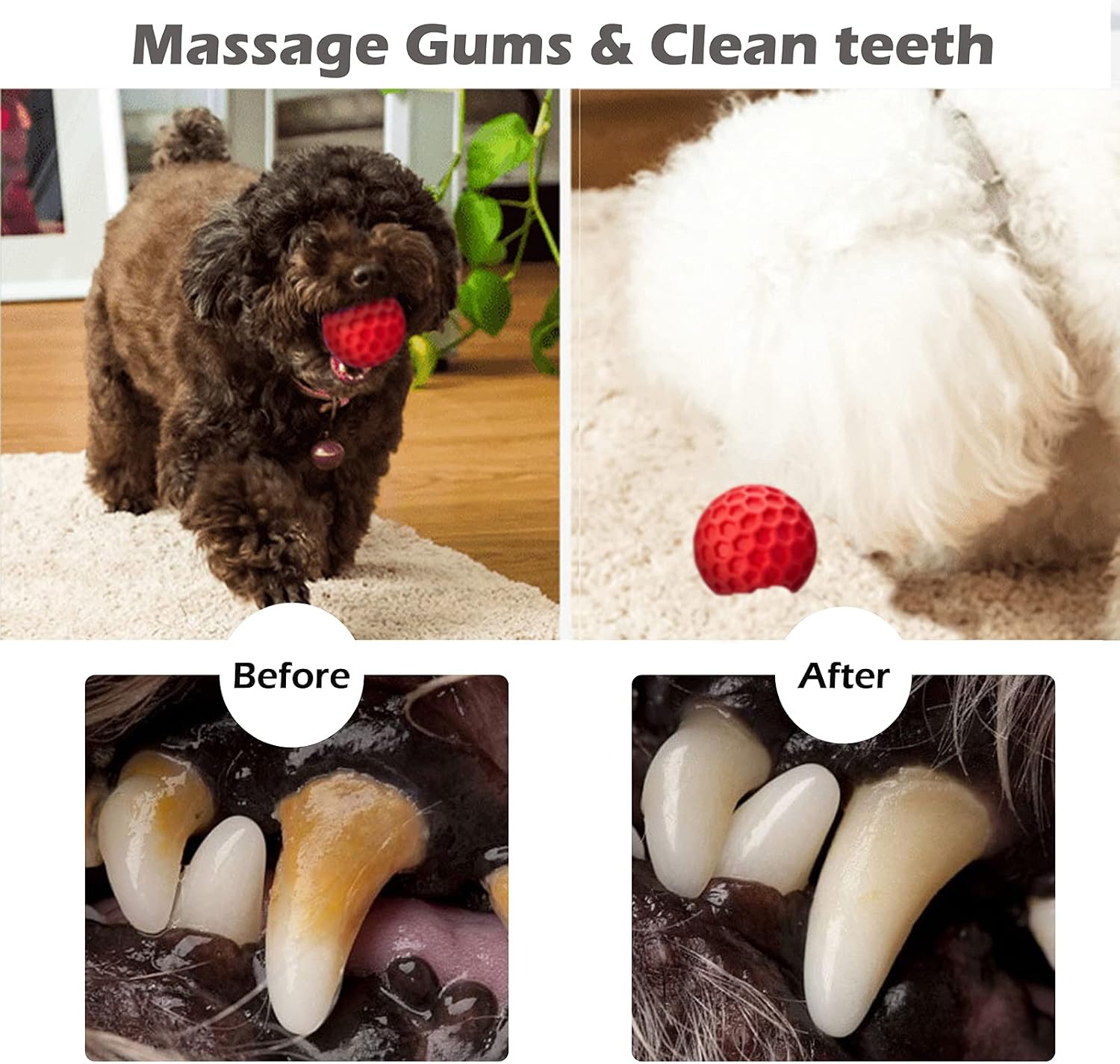 soysen Dog Squeaky Toys Dog Chew Toys for Aggressive Chewers Indestructible Pet Toy for Training and Cleaning Teeth Non-Toxic Natural Rubber - Image 5