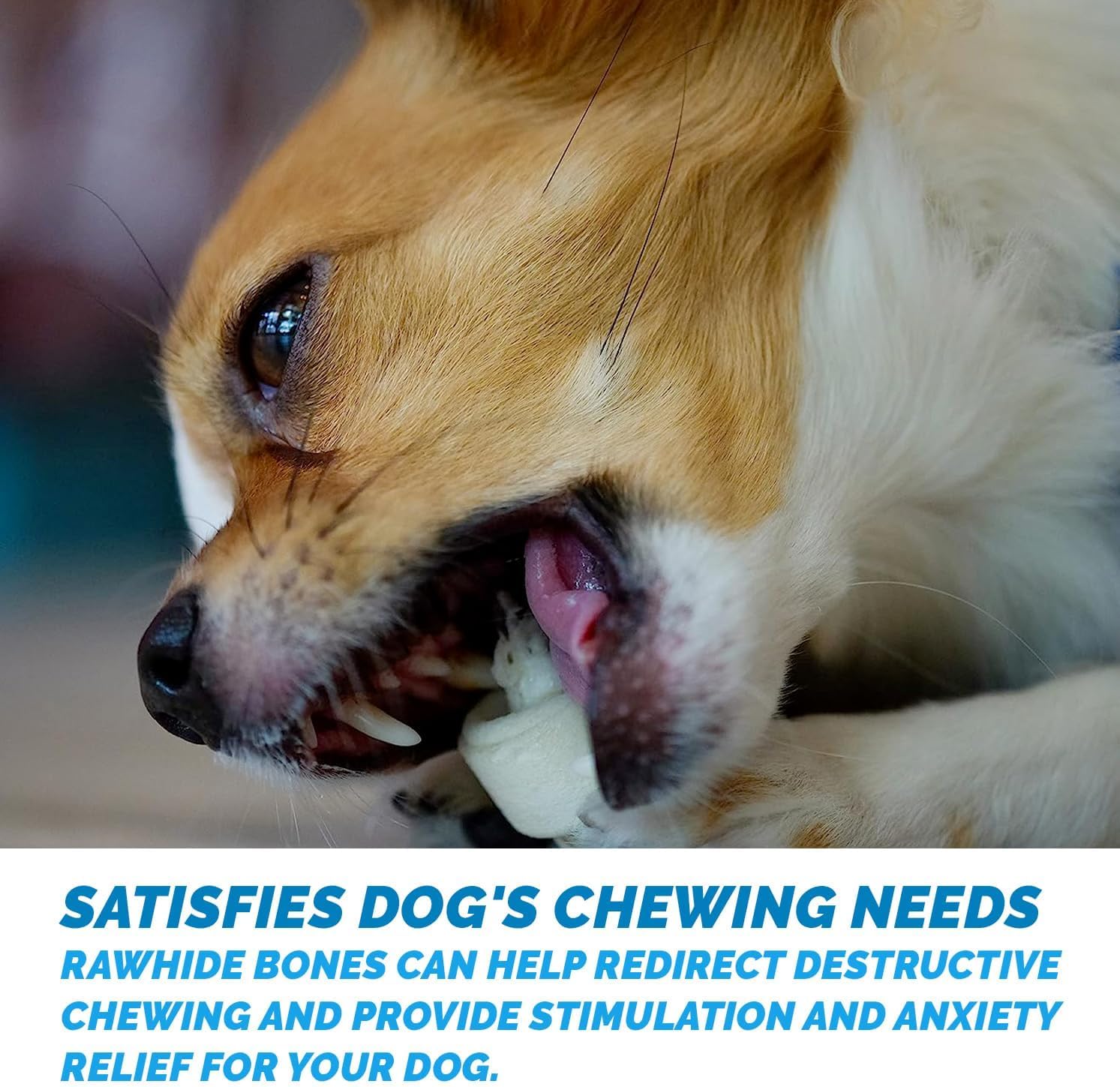 Dog Rawhide Chews Bones for Small Dogs 2-3" Inches (50 Count) 100% Natural USA Made from Natural Grass Fed Cattle | Premium Raw Hides Bulk Treats