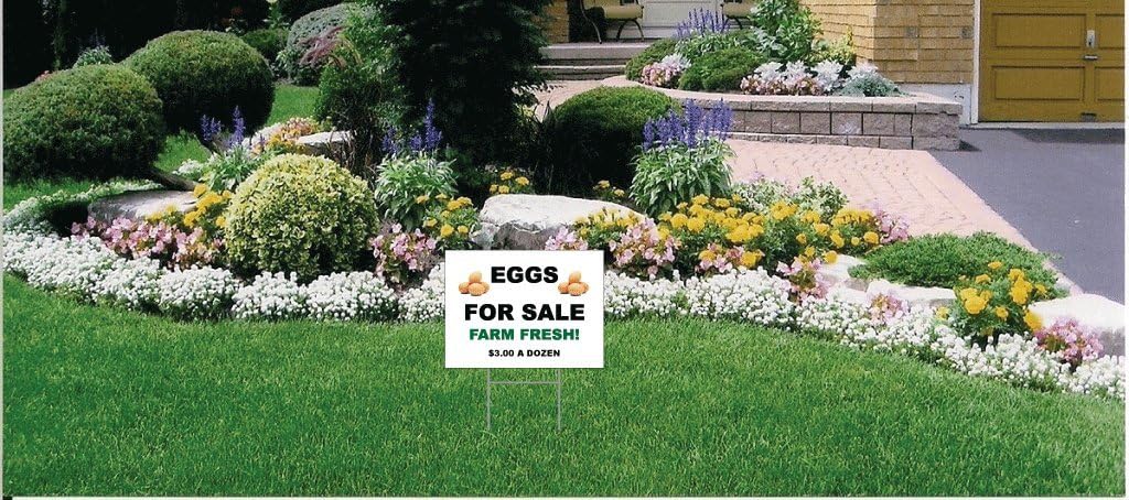 Eggs For Sale Yard Sign, With Your Custom Message - 18 x 24"
