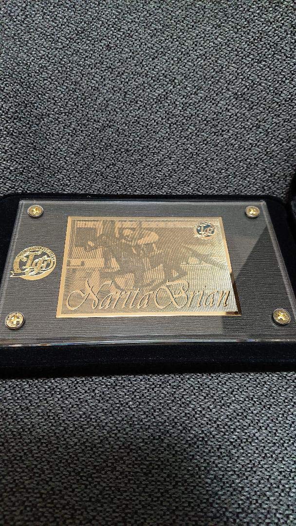 【激レア】ナリタブライアン ゴールドプレート 激レア】ナリタブライアン ゴールドプレート