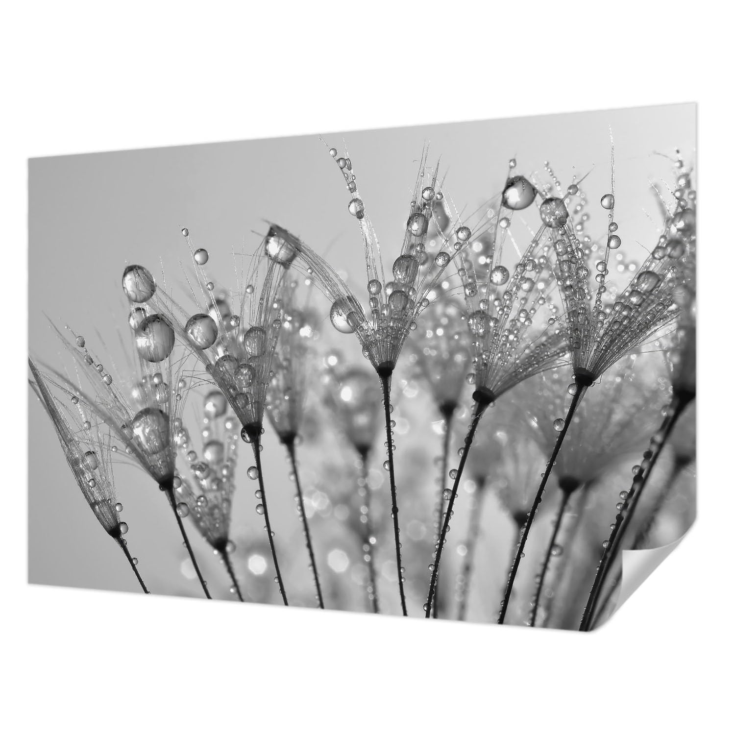 Papier peint autocollant pose murale facile sans colle