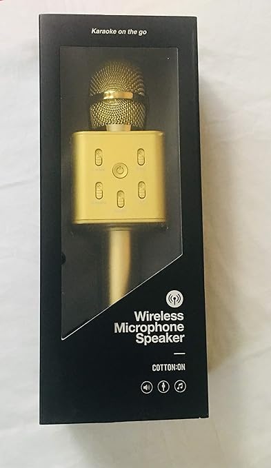 hanging light with bluetooth speaker