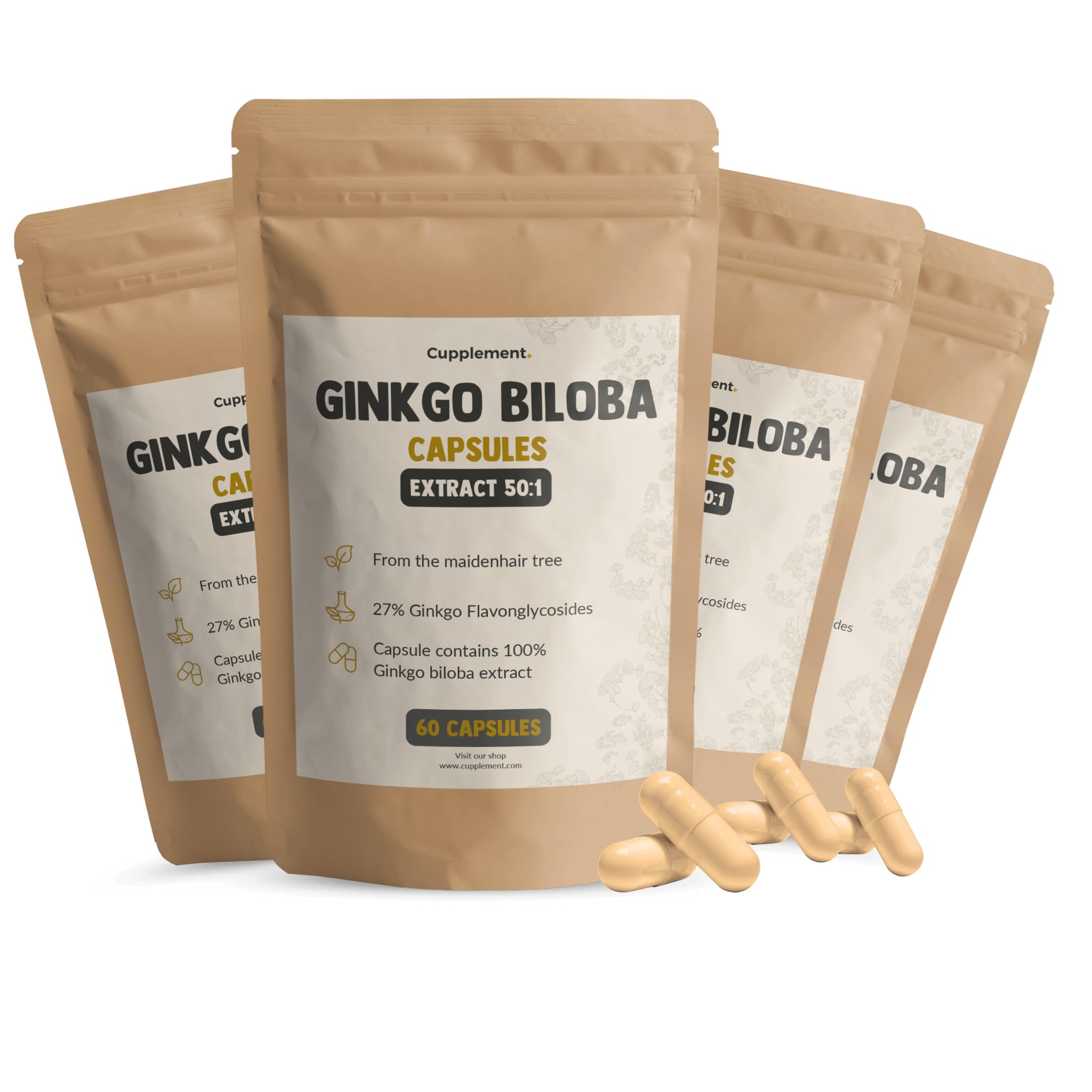 Ginkgo Biloba Kapseln 100 mg Kombideal 4x 60 Capsules - Gedächtnis & Konzentration - Nootropika Ginkgo - Vegan - Ohne Zusatzstoffe - Laborgeprüft - 60 Tage Vorrat pro Beutel