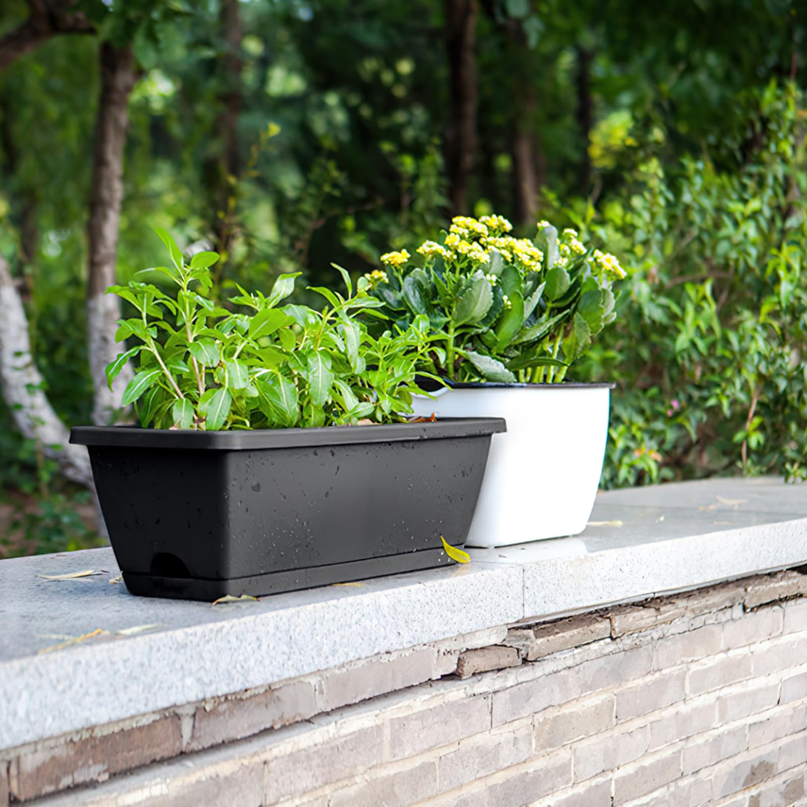 Lot de 12 jardinières rectangulaires avec trous de drainage et plateaux pour rebord de fenêtre, jardin, balcon - Noir