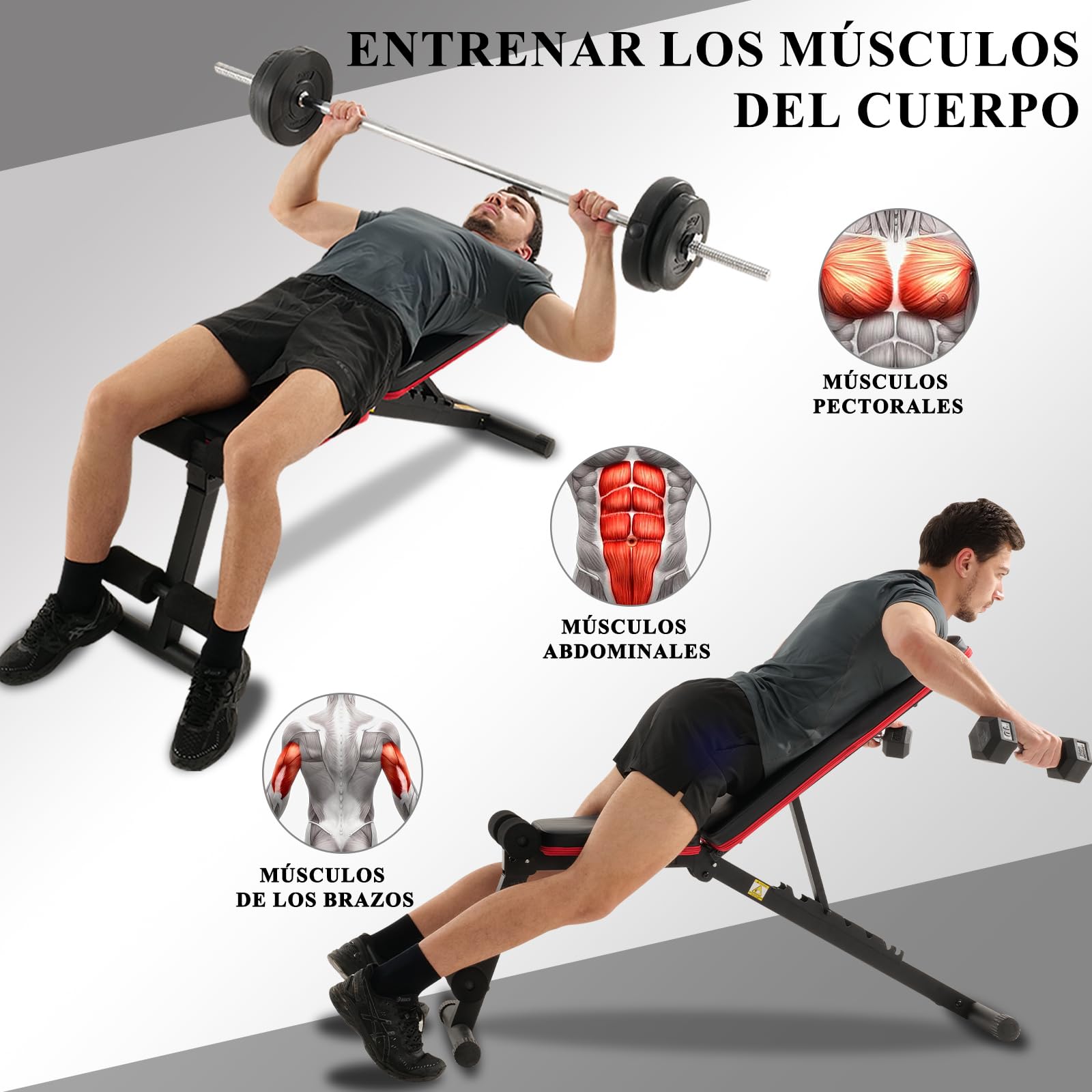 ISE Banco Musculación Plegable, Banco De Pesas Musculacion, Banco Pesas Inclinable,Reclinable y Plano, Banco Abdominales en casa, Banco Gimnasio Max.100KG
