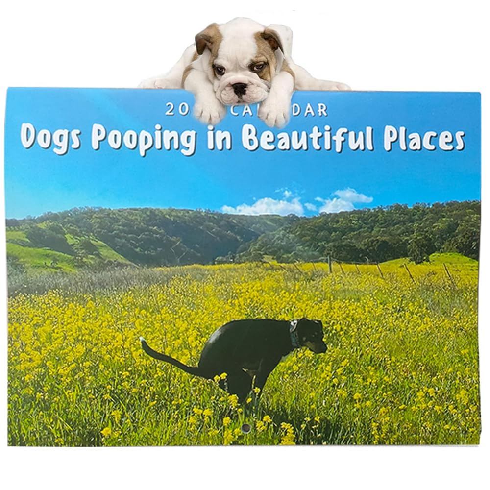 amazon-com-dogs-pooping-in-beautiful-places-calendar-2024-wall-calendar-funny-dogs-pooping-in-beautiful-places-wall-monthly-calendar-gag-gift-for-friends-and-families-office-products