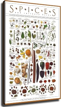 Spices and Culinary Herbs Infographic Poster Wall Art Canvas Painting Picture Print Living Room Bedroom Decor Unframed,0812inch