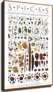 Spices and Culinary Herbs Infographic Poster Wall Art Canvas Painting Pi...