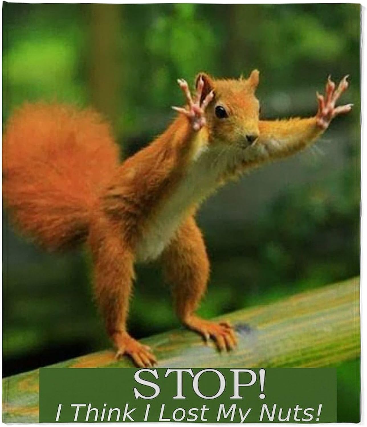 CafePress Squirrel Lost His Nuts 2 Throw Blanket Super Soft Fleece Plush Throw Blanket, 60"x50"