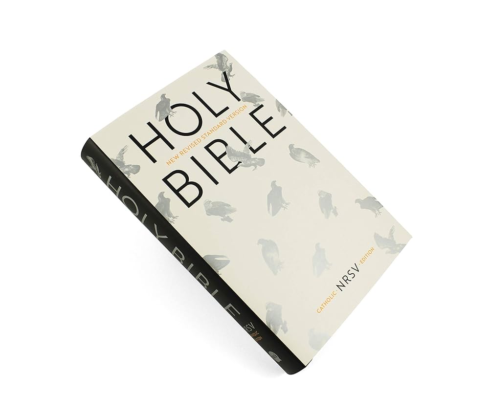 HOLY BIBLE 聖書（洋書） The Holy Bible New Testament in Japanese 聖書新約聖書