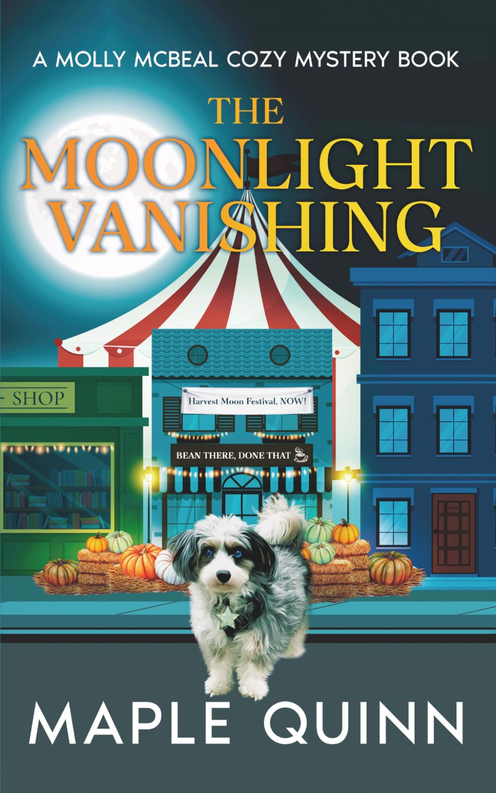 The Moonlight Vanishing: A Kansas Small Town Cozy Mystery