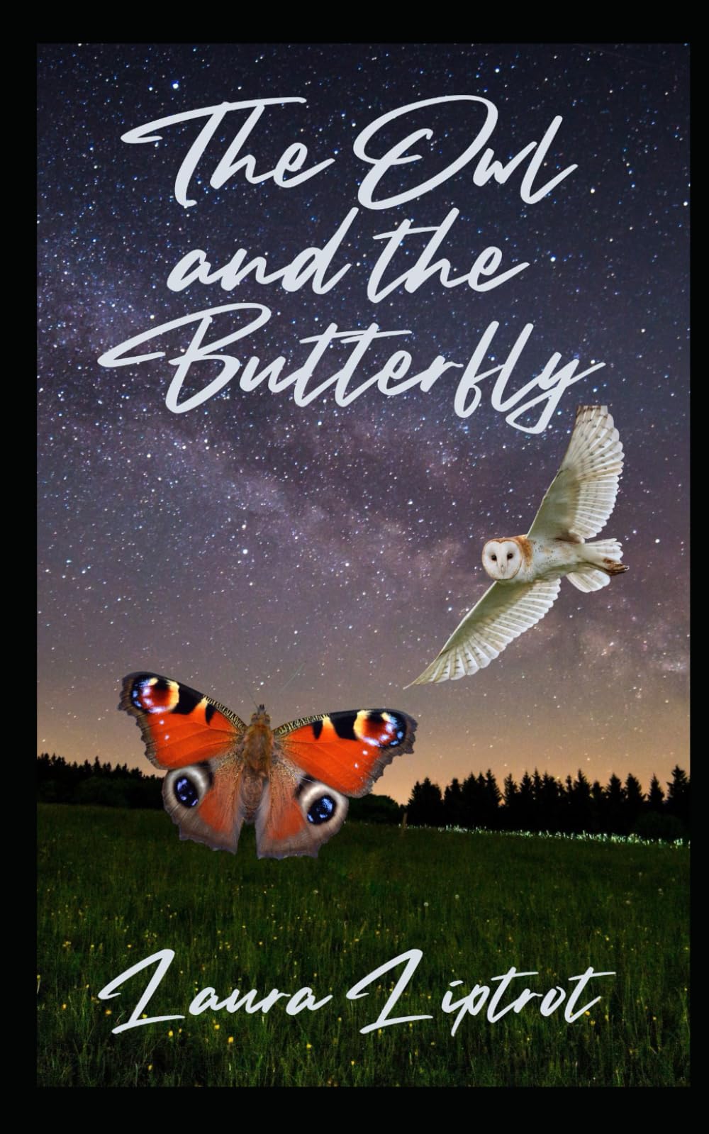 The owl and the butterfly: Poems, short stories and ramblings all about dreams.