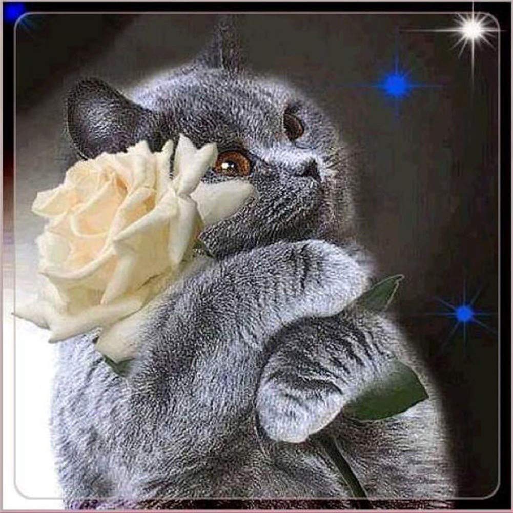 5D Diamond Painting Kit – Weiße Perserkatze, 40x50 Cm, Runde Strasssteine, Perfekt Für DIY-Deko Und Entspannung