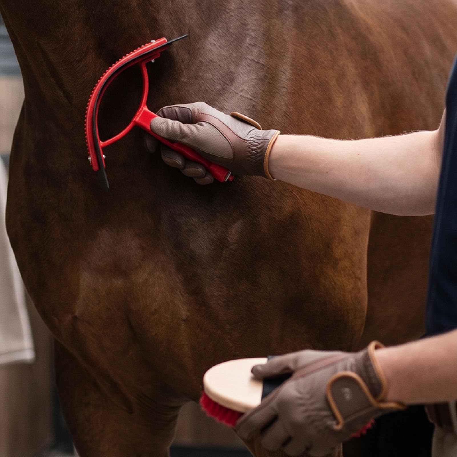 Generic Juego de Herramientas de Limpieza para Caballos, Kit de Aseo Multifuncional para Caballos, Ganado y Perros, Material ABS Duradero, 10 Piezas
