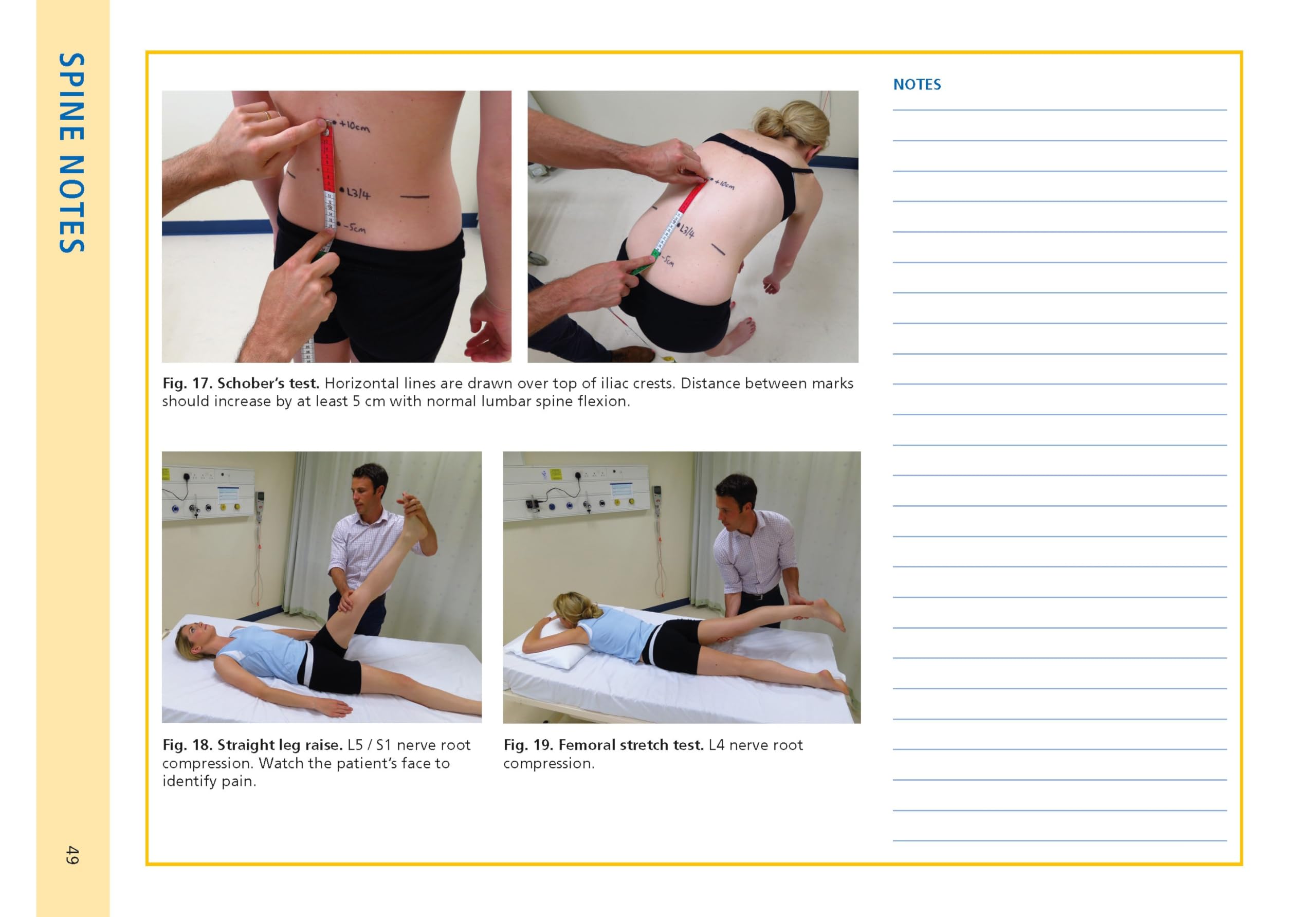 Essential Examination, fourth edition: Step-by-step guides to clinical examination scenarios with practical tips and key facts for OSCEs