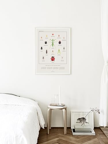 Miniatura 3 de Goldleaf Insectos benéficos Heros of The Cannabis Garden - Póster de ilustración de insectos beneficiosos, ilustración científica de errores