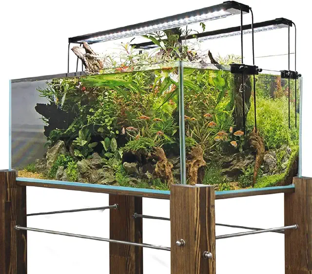 Amtra Shallow Aquarium 100L - Verre Extra-Clair avec Tapis, 75x50x30cm