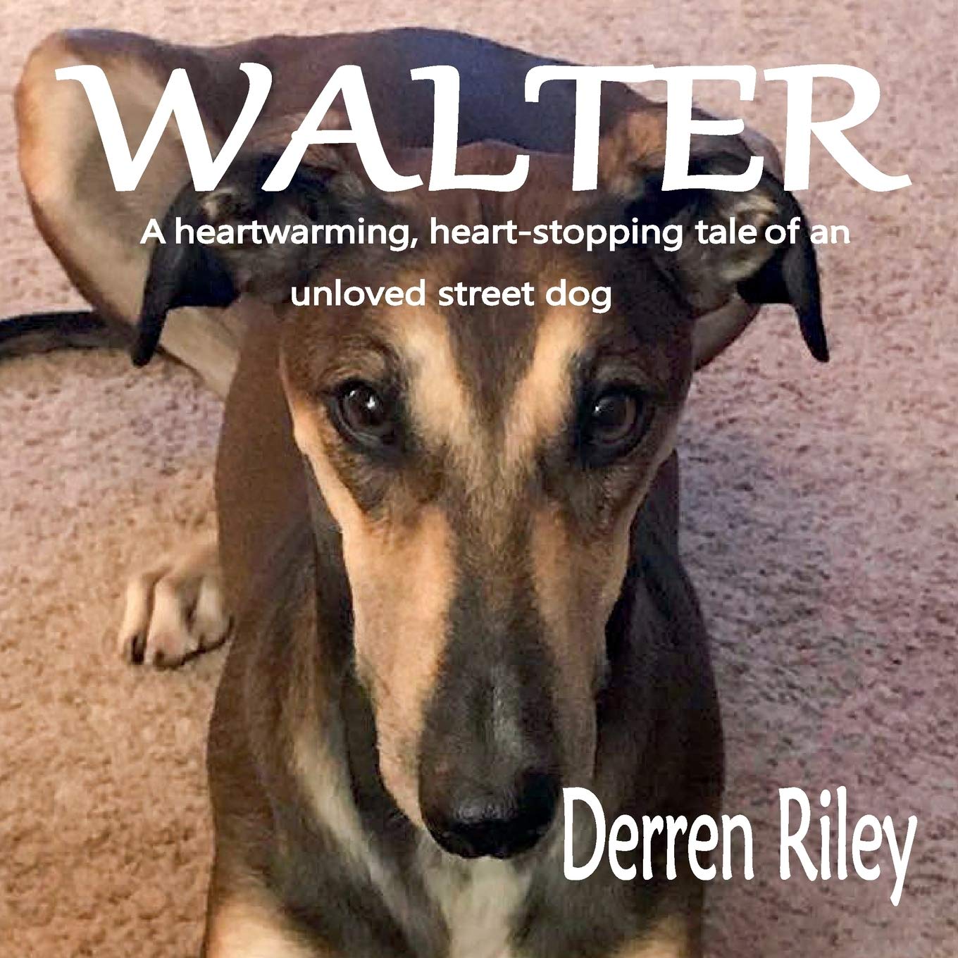 Walter,Derren Riley