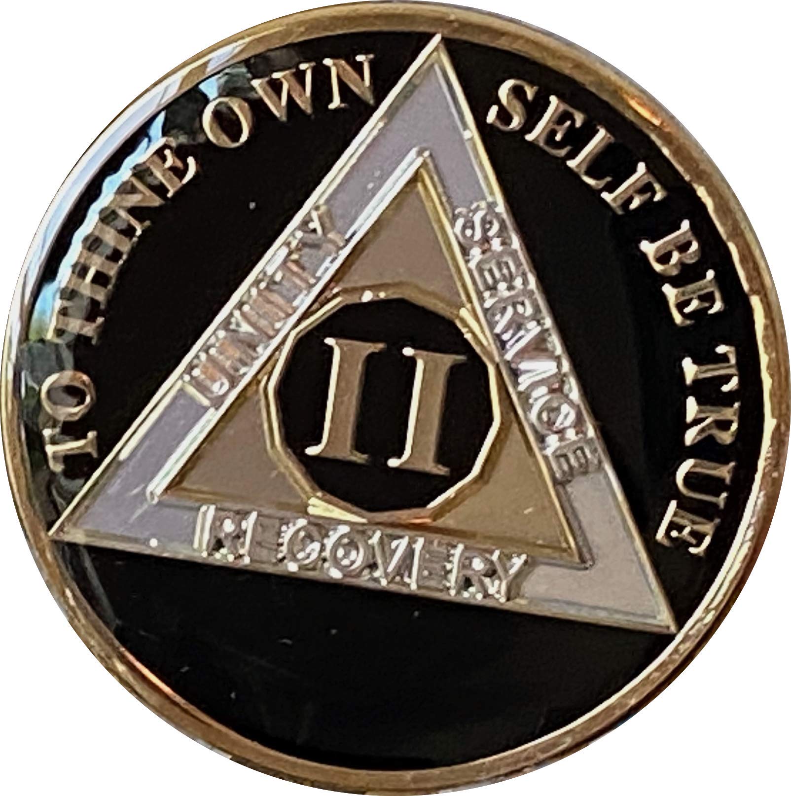 Ranger Industries 2 Year AA Medallion Glossy Classic Black Sobriety Chip II