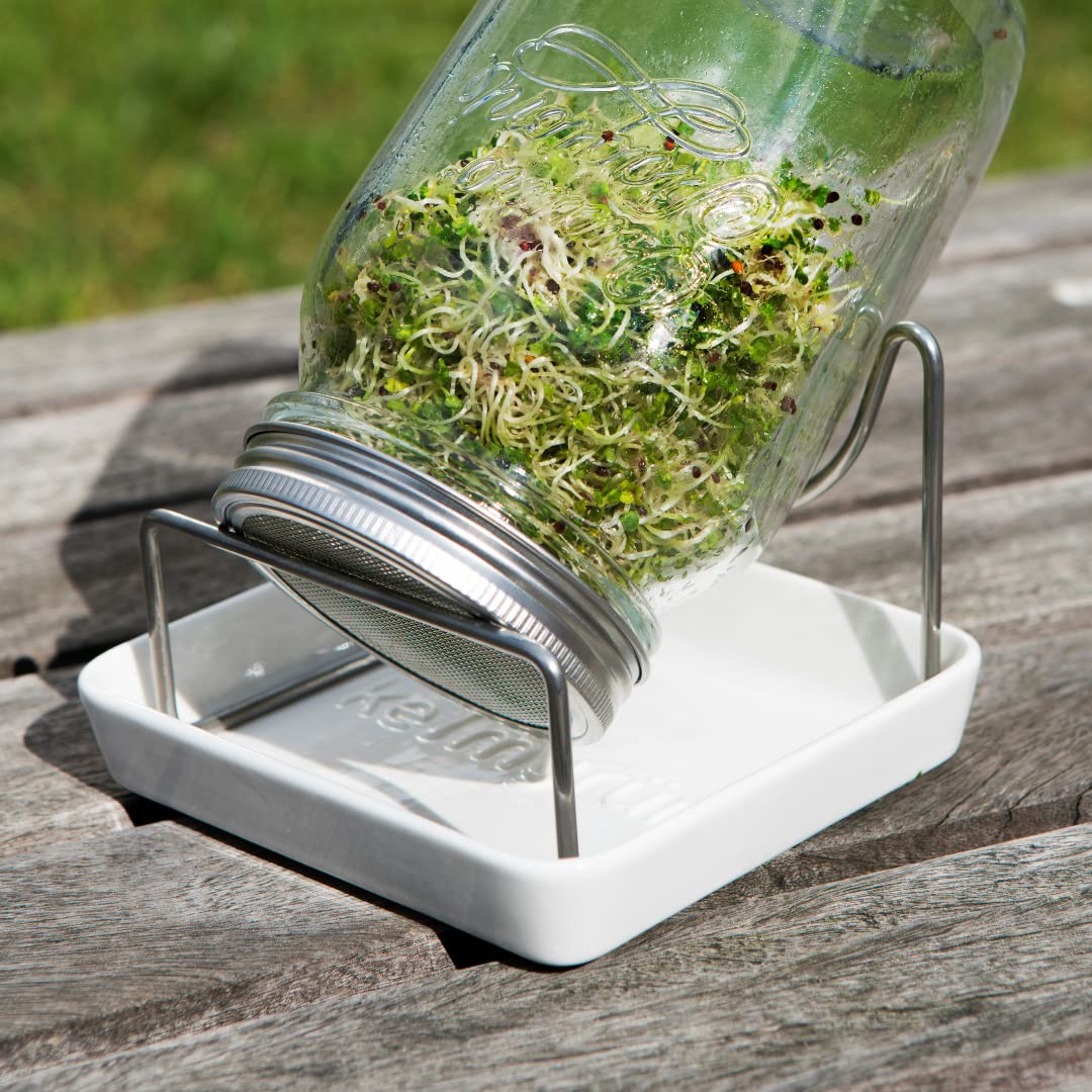 Sprossenglas Set - Plastikfrei - 1000ml - 1l Keimglas - Gestell aus Edelstahl und Untersetzer aus Keramik - Flexibel erweiterbar - optimale Größe für den Start in die Welt der Sprossen
