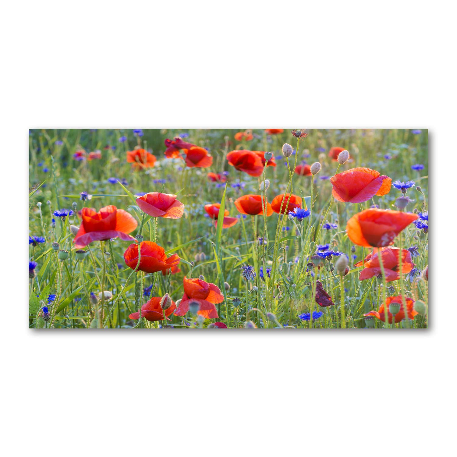 Image Verre Plastique Tulup 120x60cm pour Illuminer un Salon Moderne