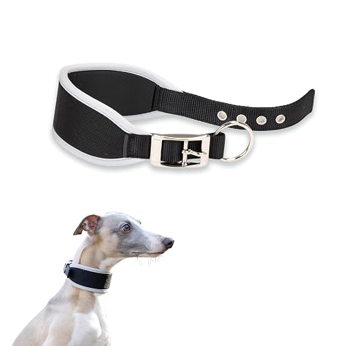 Ferplast Collar para Perros ERGOCOMFORT C15/33, Collar para Galgos, Acolchado Suave, Azul