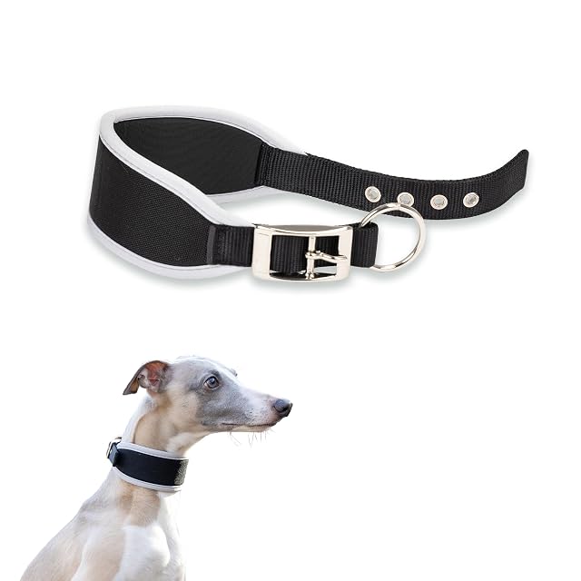 Ferplast Collar para Perros ERGOCOMFORT C15/33, Collar para Galgos, Acolchado Suave, Azul