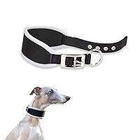 Ferplast Collare Cane ERGOCOMFORT, Collare per Levriero