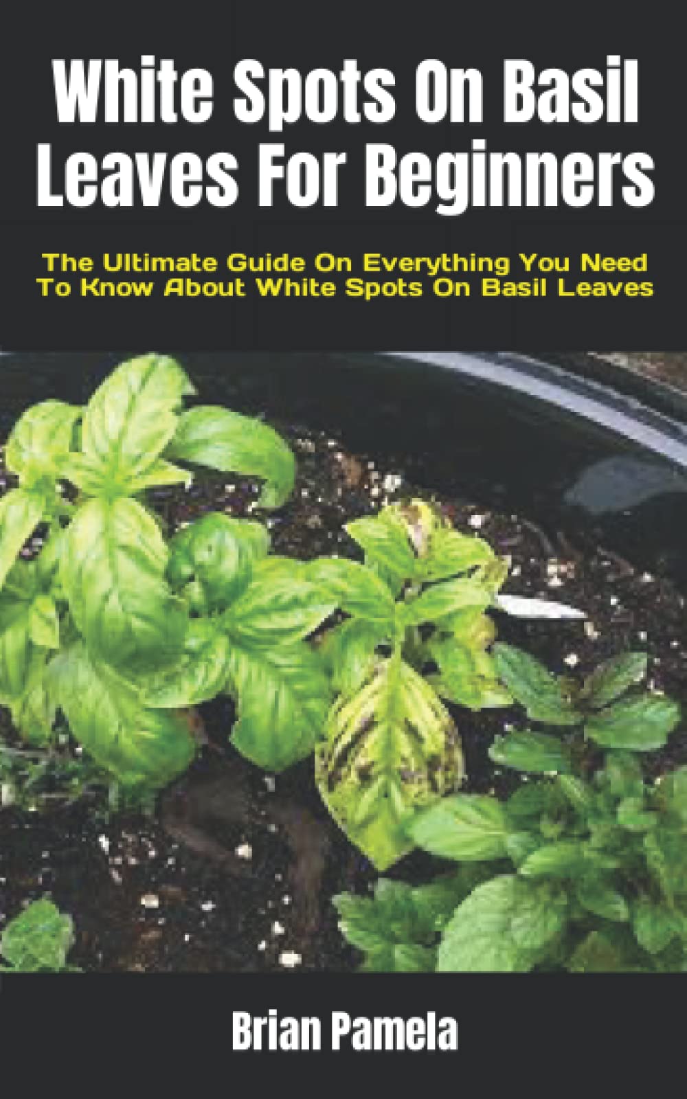How To Get Rid Of White Spots On Basil Leaves Treatme vrogue.co