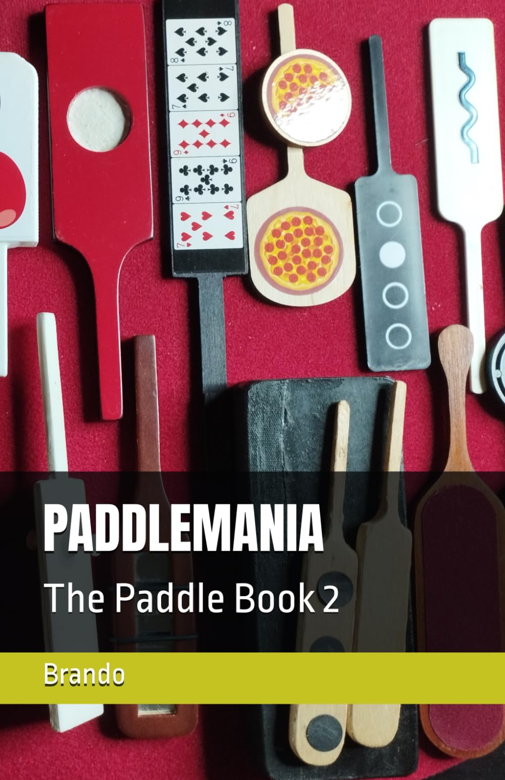 PADDLEMANIA: The Paddle Book 2 guide stand up paddle et beau livre