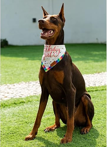 Miniatura 7 de Bandanas para perro niña, para cumpleaños, hermana mayor, bufanda de perro de doble capa, bufanda de tela para mascotas, duradera (nacimiento, XL)