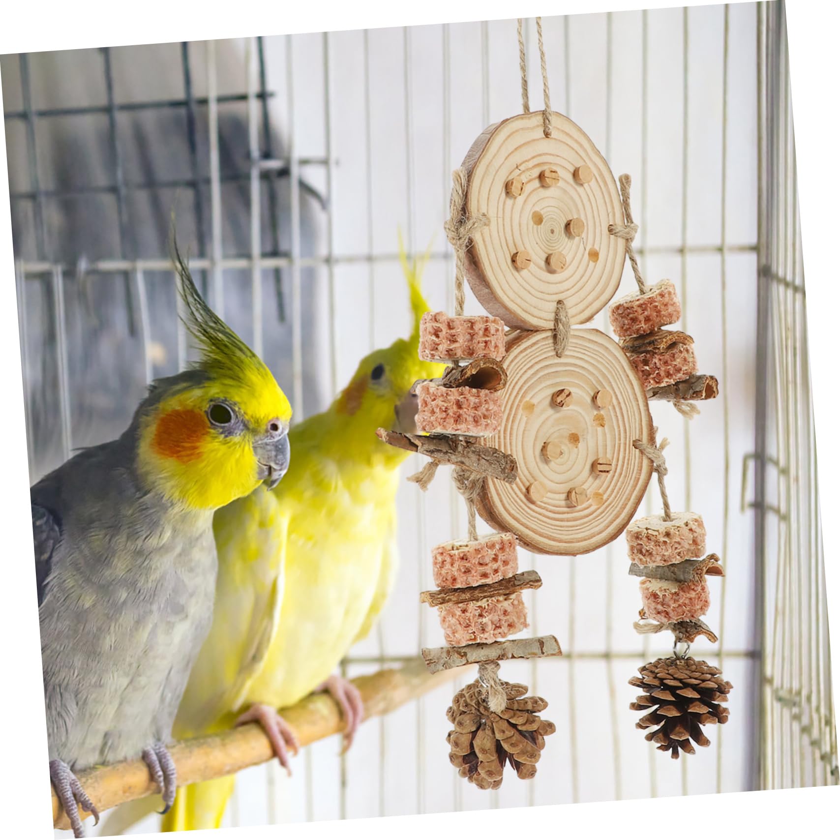 Yardwe 5stücke Kauspielzeug Hängendes Vogelspielzeug Beschäftigung Und Zahnpflege Naturmaterial Dekorativ Für Vogelkäfige Geeignet Für Wellensittiche Und Andere Vögel