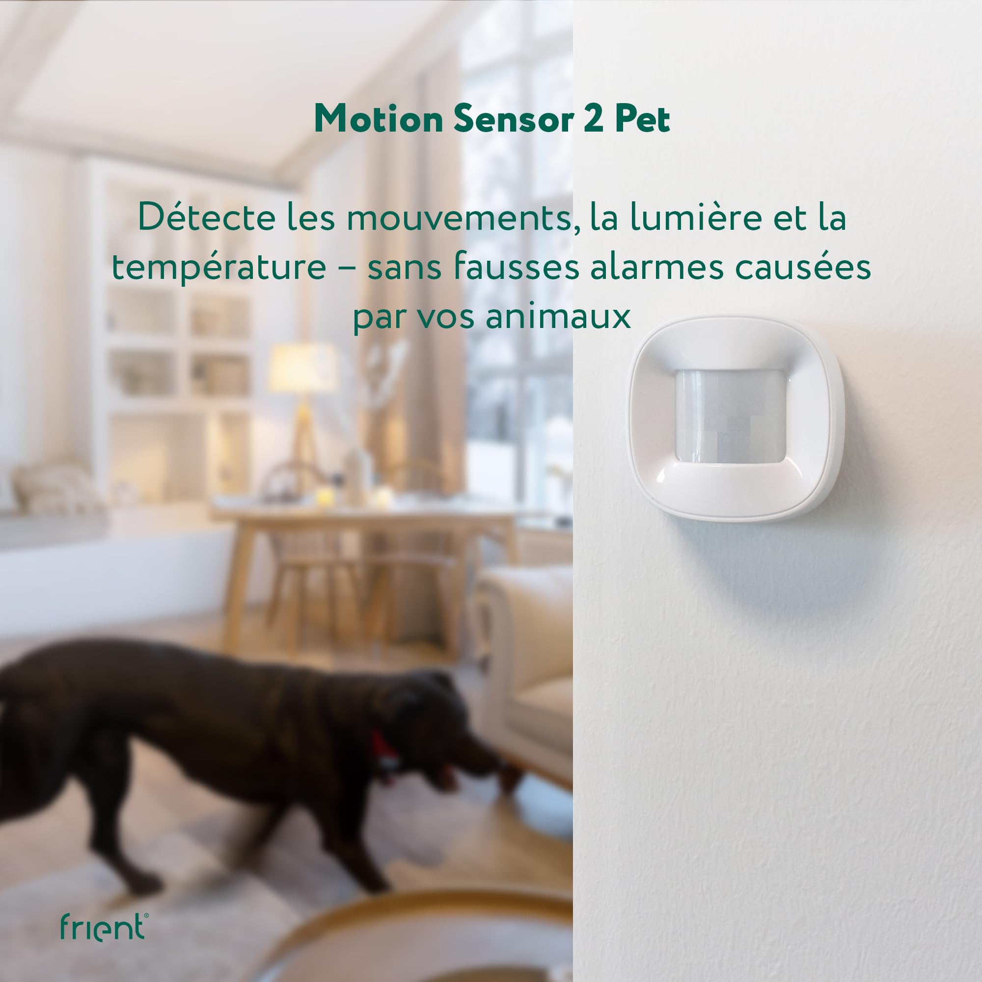 frient Motion Sensor 2 Pet - Capteur de Mouvement Zigbee et Température