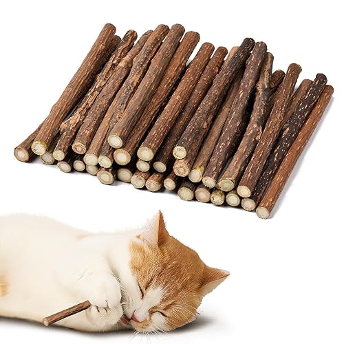 Adiwo Palitos de Hierba Gatera, 32pcs Palitos de Hierba Gatera Matatabi, Palitos de Matatabi de Juguete para Gatos, Juguete para Masticar para Gatos, Adecuado para el Cuidado Dental de Gatos 6-8mm