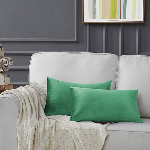 Miniatura 69 de GIGIZAZA Fundas de Almohadas Decorativas de Terciopelo Dorado, Fundas de Almohadas de 18x18 para Sofá, Sillón y Cama, Paquete de 2 Fundas de Cojines