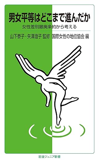 男女平等はどこまで進んだか　女性差別撤廃条約から考える (岩波ジュニア新書)