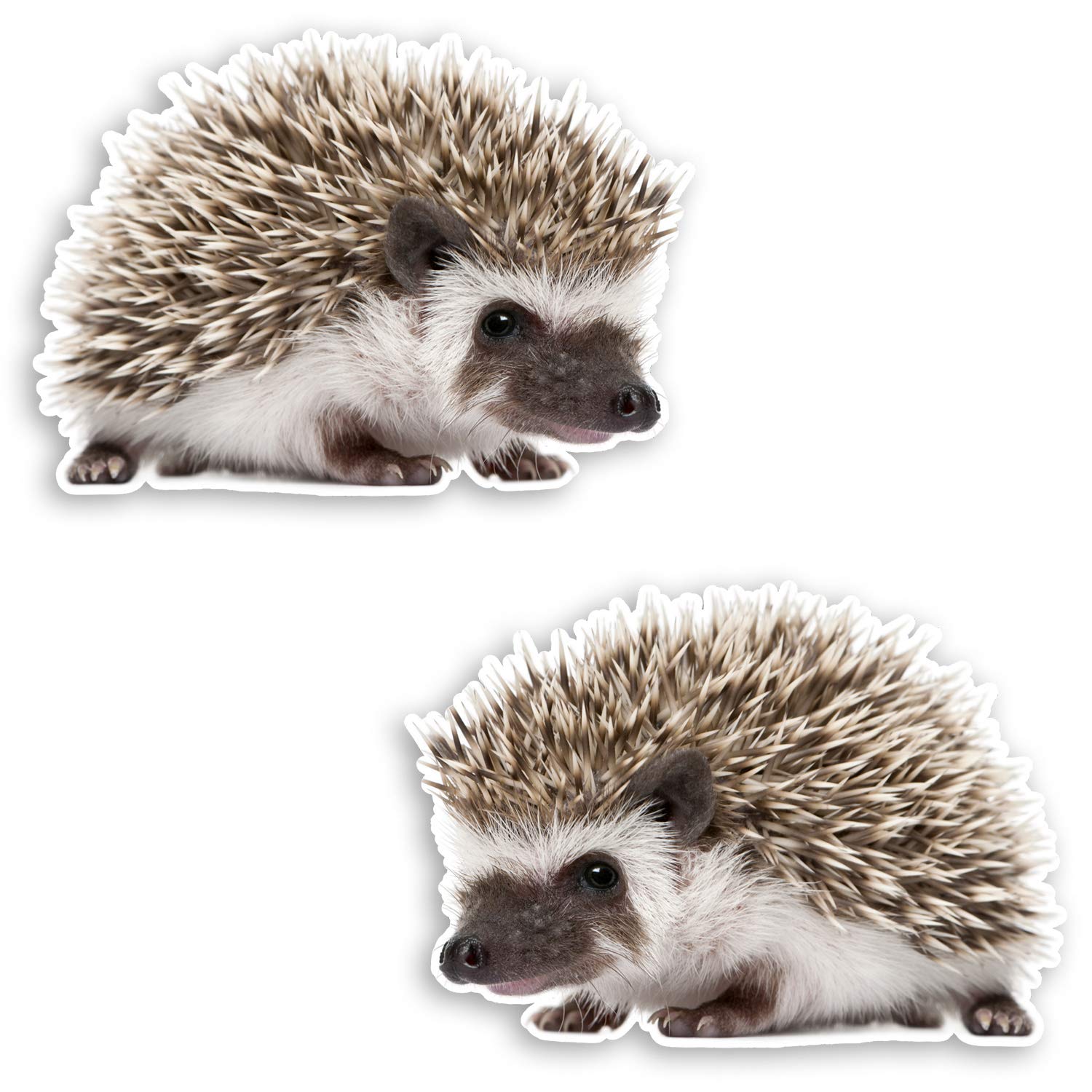 Destination Vinyl Ltd Multi 2 X 10Cm Cute Hedgehog Vinyl Stickers - Wildlife Nature Kids Sticker #34904