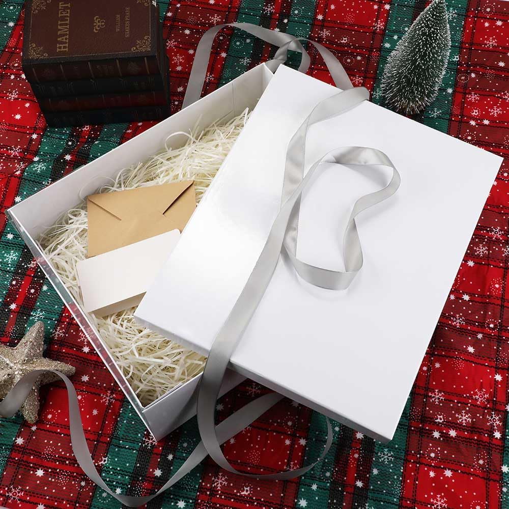 Extra Lar Box with Lid 17x13x6 Inches, White Boxes for