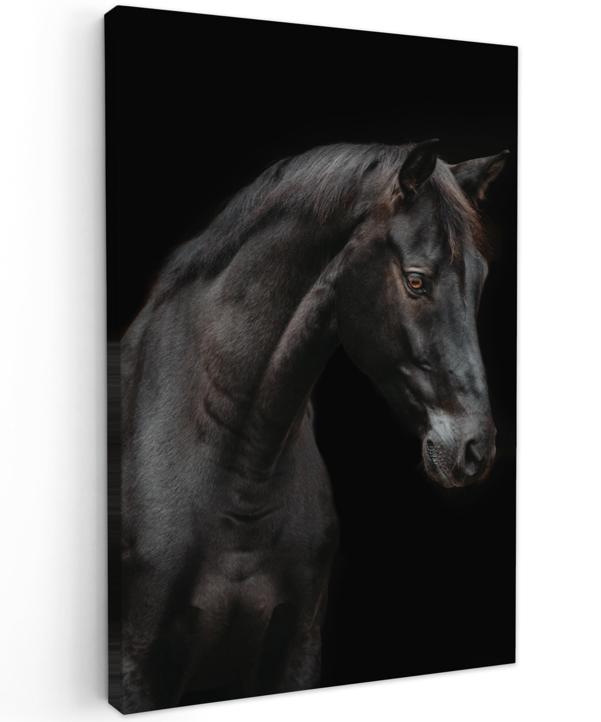MuchoWow© Canvas Wall Art 31"x47" / 80x120 cm Decor Paintings Print framed on Canvas Pictures for Hallway Horse - Animals - Black - Portrait — image 1