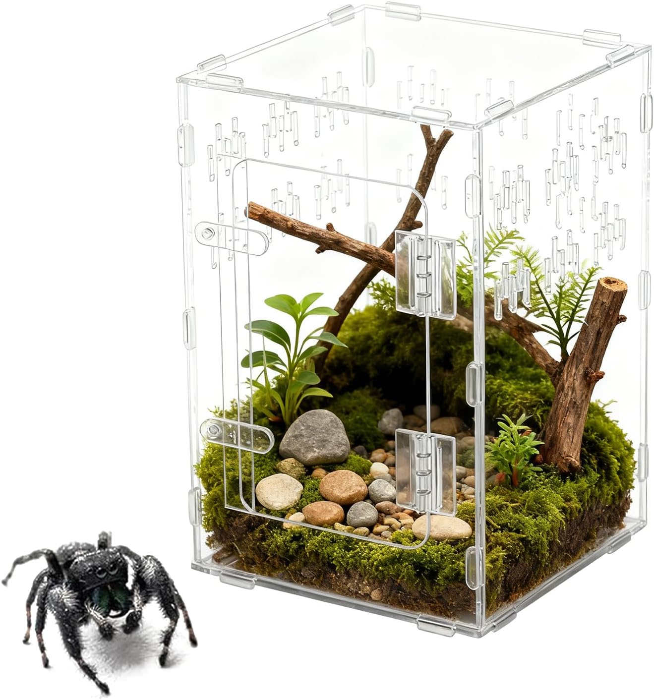 Terrarium für Spinnen – Acryl-Terrarium, Gehege für Spinnen – geeignet für Bartagamen, Schlangen, Landschildkröten, Geckos, Einsiedlerkrebs, Reptilienfische